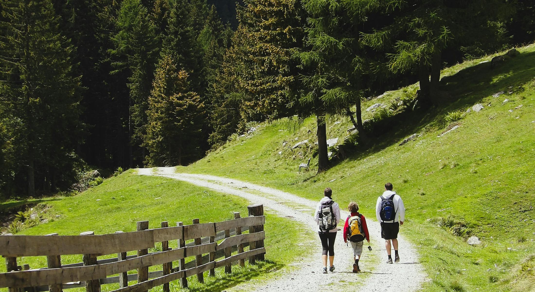 Familie wandert in den Bergen